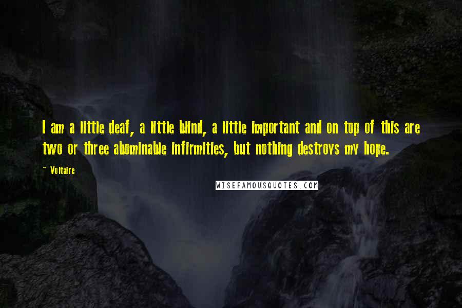 Voltaire Quotes: I am a little deaf, a little blind, a little important and on top of this are two or three abominable infirmities, but nothing destroys my hope.