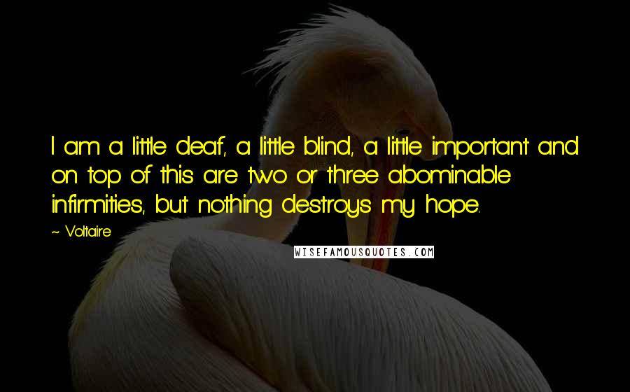 Voltaire Quotes: I am a little deaf, a little blind, a little important and on top of this are two or three abominable infirmities, but nothing destroys my hope.