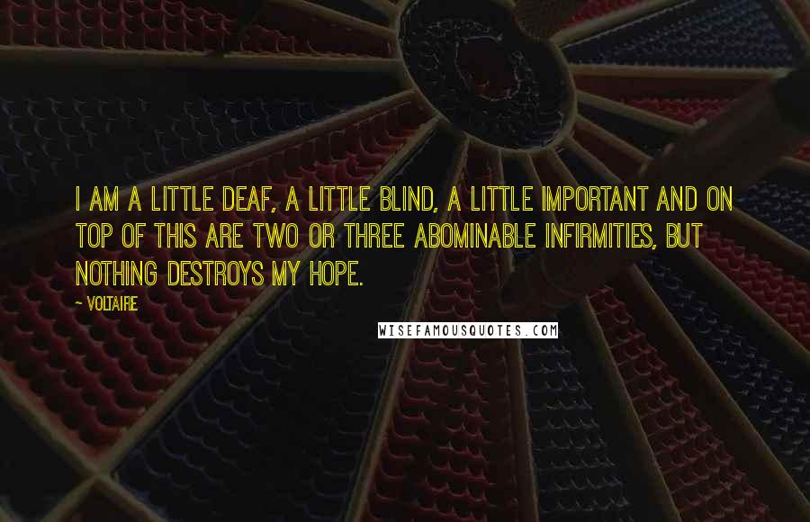 Voltaire Quotes: I am a little deaf, a little blind, a little important and on top of this are two or three abominable infirmities, but nothing destroys my hope.