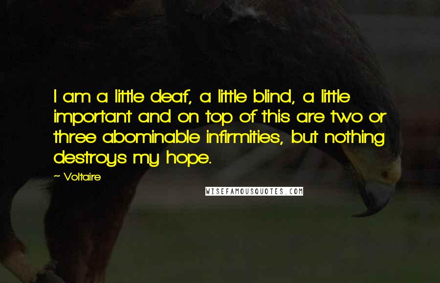 Voltaire Quotes: I am a little deaf, a little blind, a little important and on top of this are two or three abominable infirmities, but nothing destroys my hope.