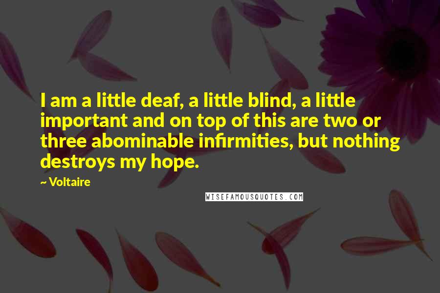 Voltaire Quotes: I am a little deaf, a little blind, a little important and on top of this are two or three abominable infirmities, but nothing destroys my hope.