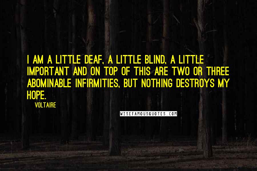 Voltaire Quotes: I am a little deaf, a little blind, a little important and on top of this are two or three abominable infirmities, but nothing destroys my hope.