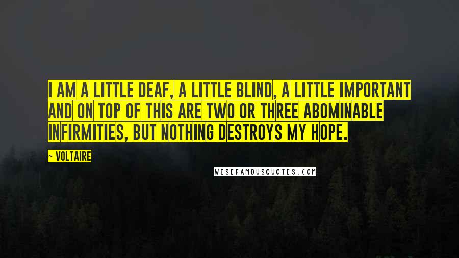 Voltaire Quotes: I am a little deaf, a little blind, a little important and on top of this are two or three abominable infirmities, but nothing destroys my hope.