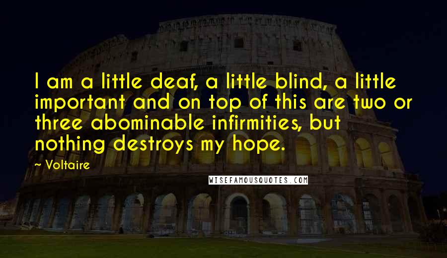 Voltaire Quotes: I am a little deaf, a little blind, a little important and on top of this are two or three abominable infirmities, but nothing destroys my hope.