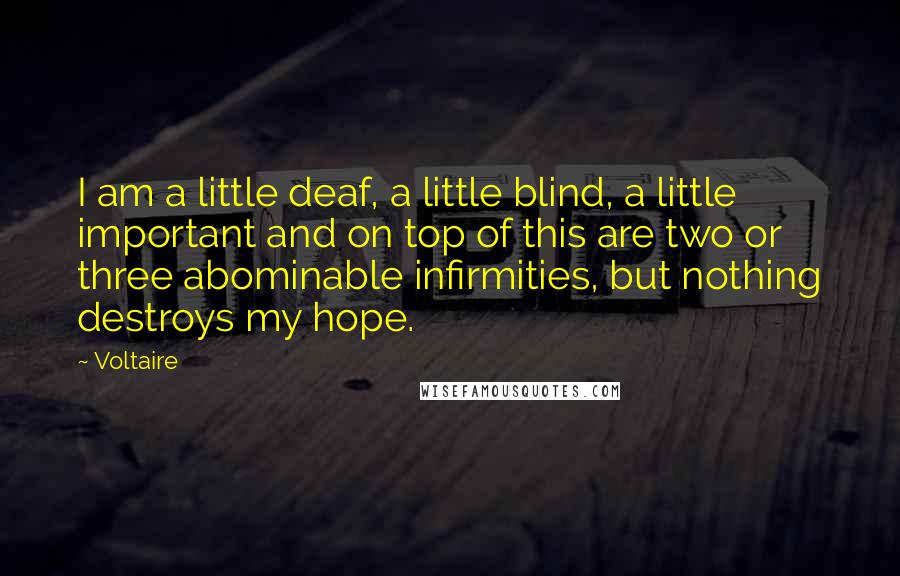 Voltaire Quotes: I am a little deaf, a little blind, a little important and on top of this are two or three abominable infirmities, but nothing destroys my hope.