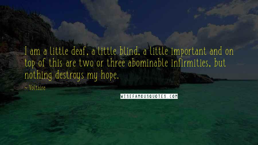 Voltaire Quotes: I am a little deaf, a little blind, a little important and on top of this are two or three abominable infirmities, but nothing destroys my hope.