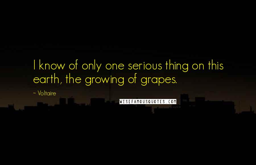 Voltaire Quotes: I know of only one serious thing on this earth, the growing of grapes.