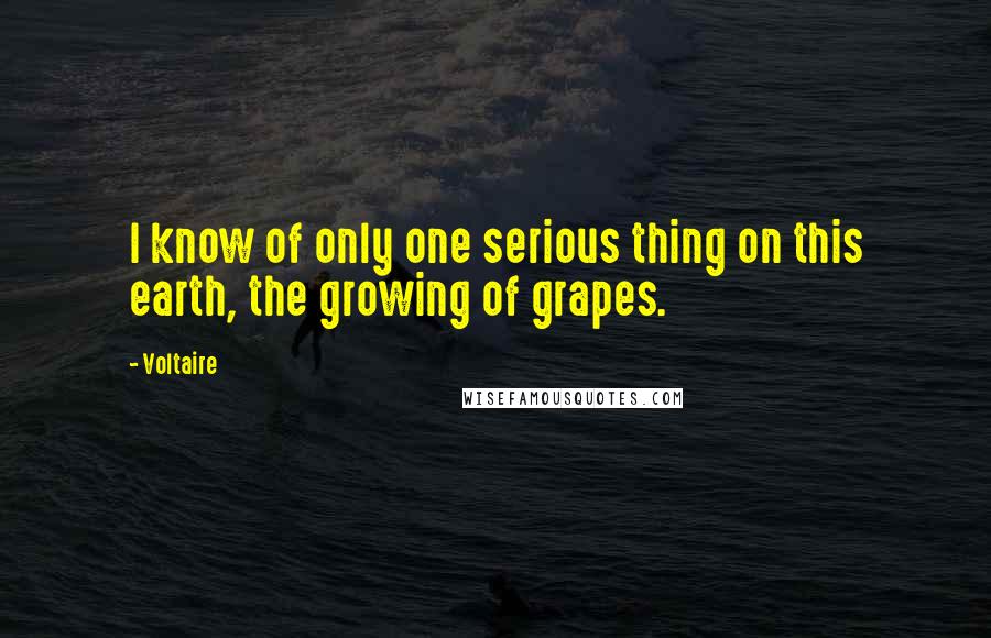 Voltaire Quotes: I know of only one serious thing on this earth, the growing of grapes.