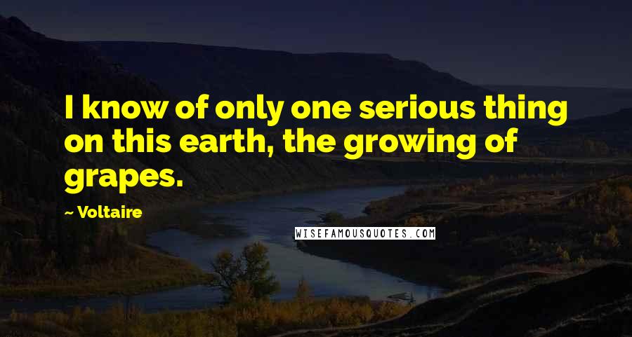 Voltaire Quotes: I know of only one serious thing on this earth, the growing of grapes.