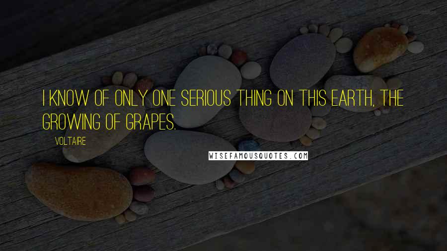 Voltaire Quotes: I know of only one serious thing on this earth, the growing of grapes.