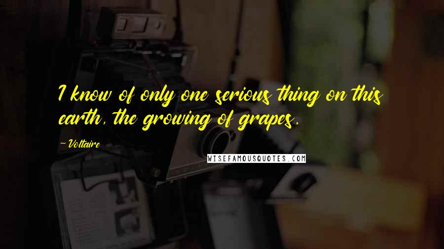 Voltaire Quotes: I know of only one serious thing on this earth, the growing of grapes.