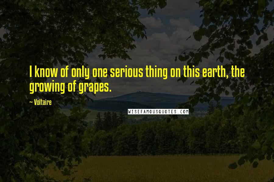 Voltaire Quotes: I know of only one serious thing on this earth, the growing of grapes.