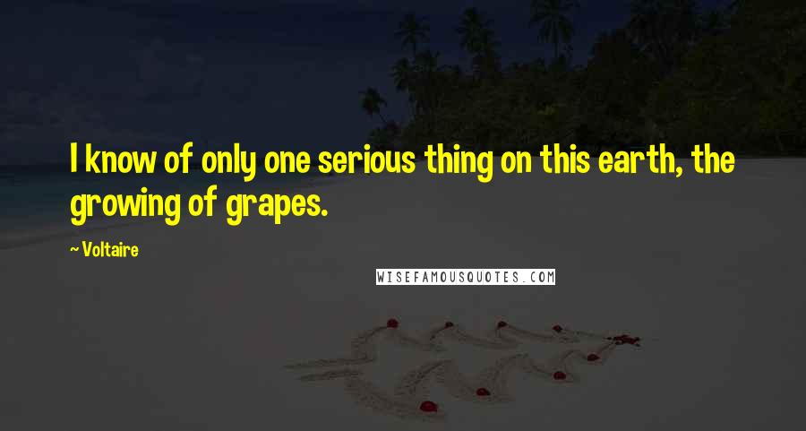 Voltaire Quotes: I know of only one serious thing on this earth, the growing of grapes.