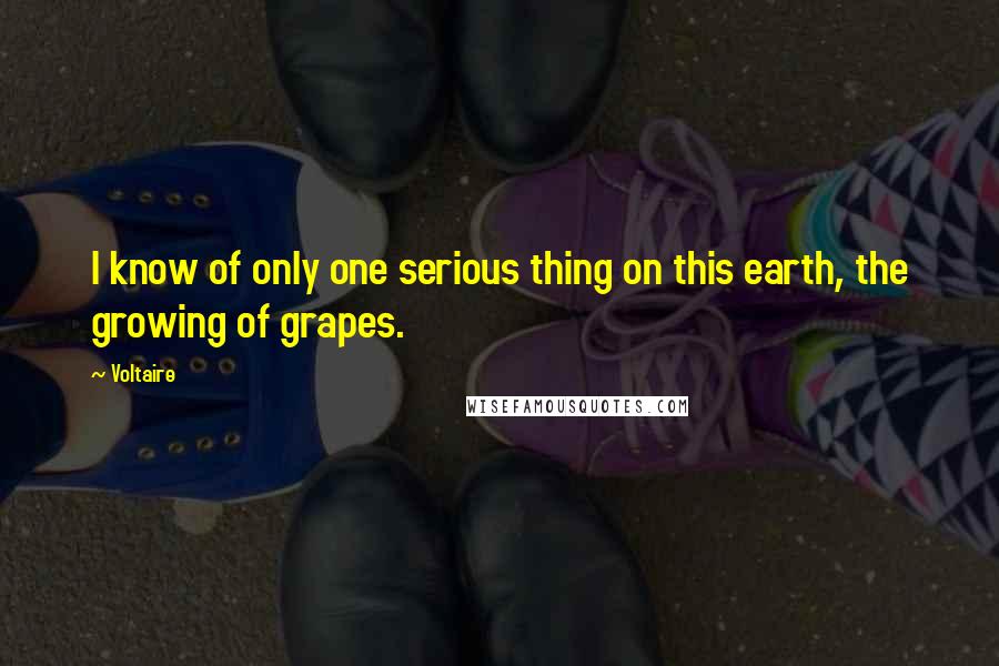 Voltaire Quotes: I know of only one serious thing on this earth, the growing of grapes.