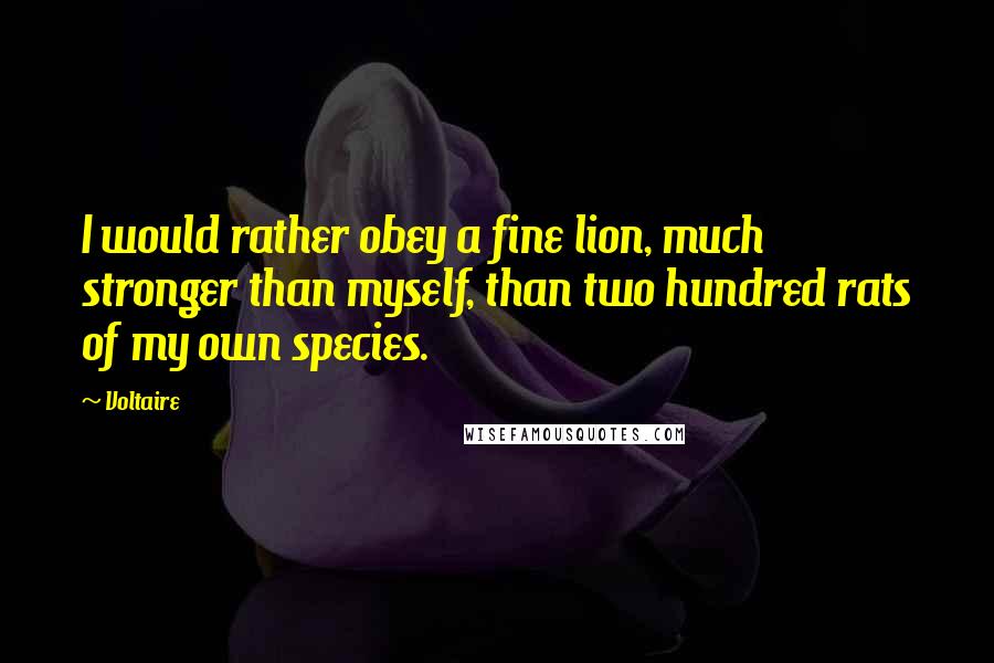 Voltaire Quotes: I would rather obey a fine lion, much stronger than myself, than two hundred rats of my own species.