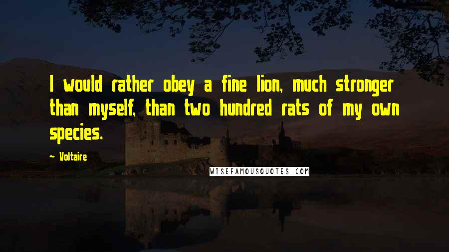 Voltaire Quotes: I would rather obey a fine lion, much stronger than myself, than two hundred rats of my own species.