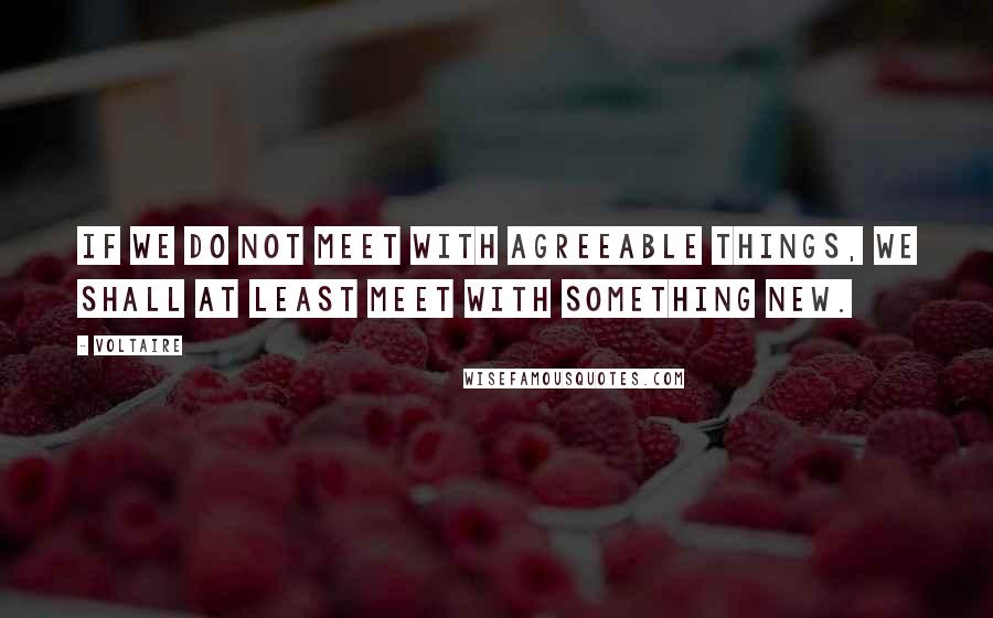 Voltaire Quotes: If we do not meet with agreeable things, we shall at least meet with something new.