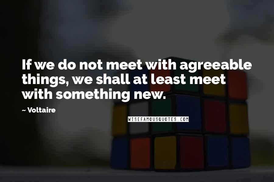 Voltaire Quotes: If we do not meet with agreeable things, we shall at least meet with something new.