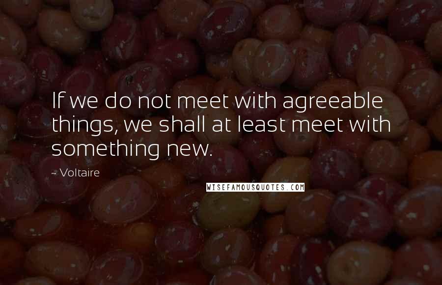 Voltaire Quotes: If we do not meet with agreeable things, we shall at least meet with something new.