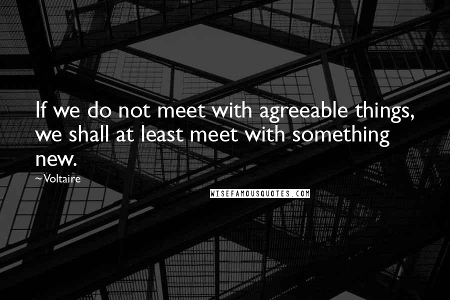 Voltaire Quotes: If we do not meet with agreeable things, we shall at least meet with something new.