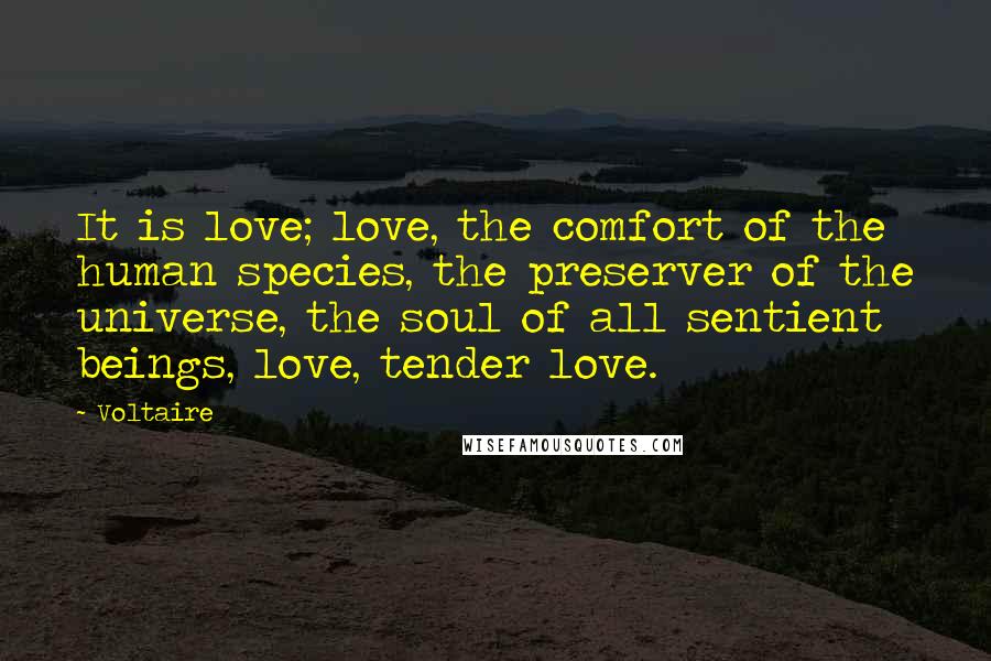 Voltaire Quotes: It is love; love, the comfort of the human species, the preserver of the universe, the soul of all sentient beings, love, tender love.
