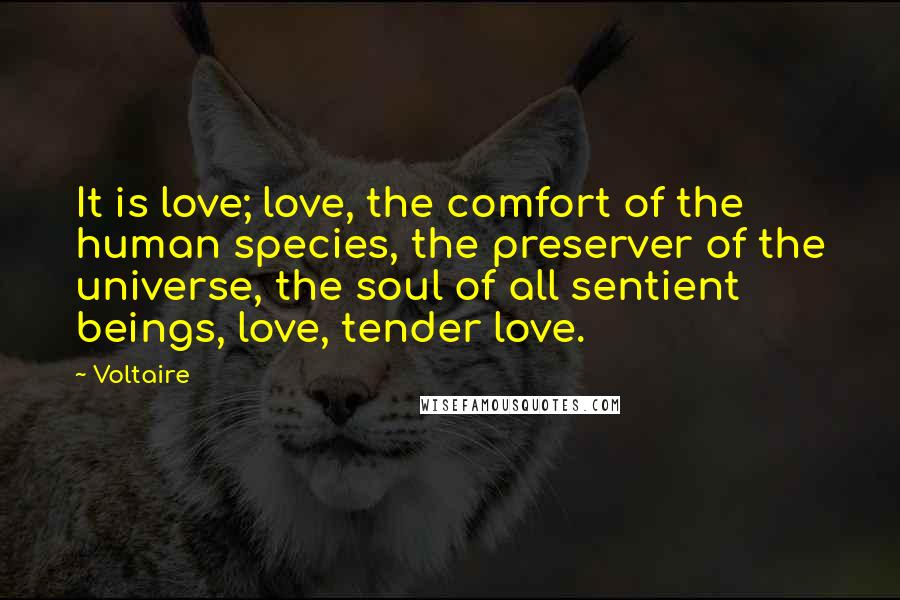 Voltaire Quotes: It is love; love, the comfort of the human species, the preserver of the universe, the soul of all sentient beings, love, tender love.