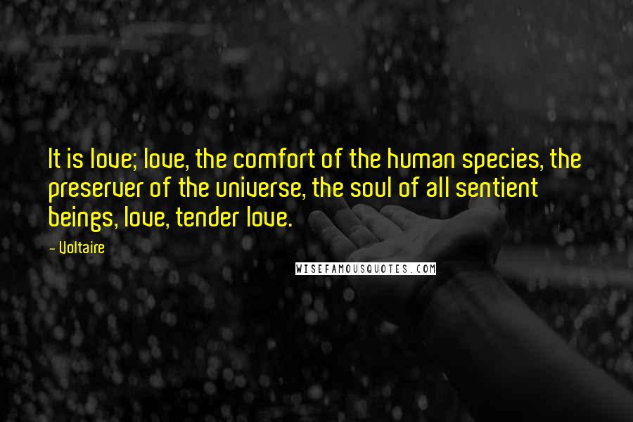 Voltaire Quotes: It is love; love, the comfort of the human species, the preserver of the universe, the soul of all sentient beings, love, tender love.