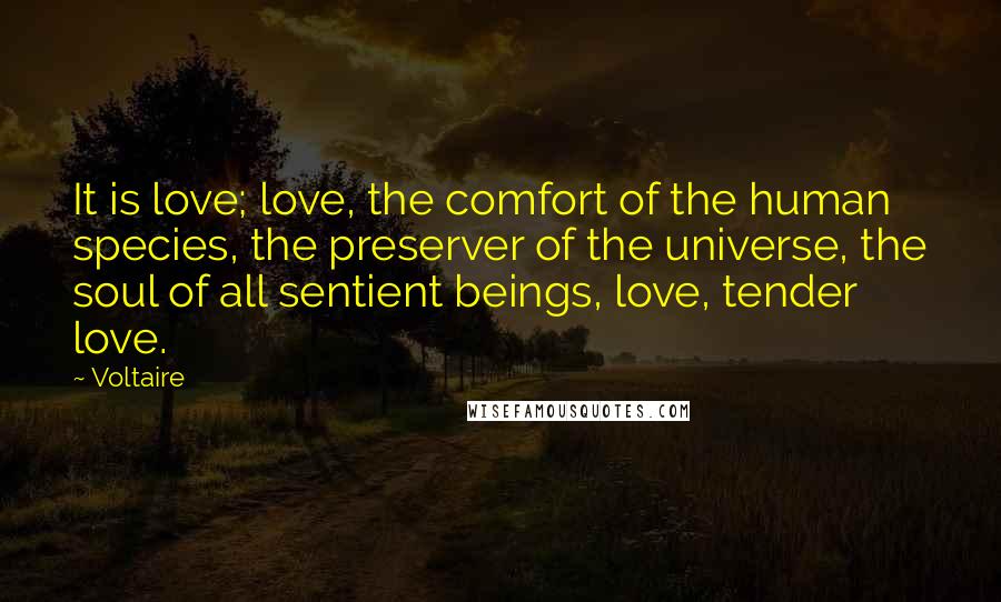 Voltaire Quotes: It is love; love, the comfort of the human species, the preserver of the universe, the soul of all sentient beings, love, tender love.