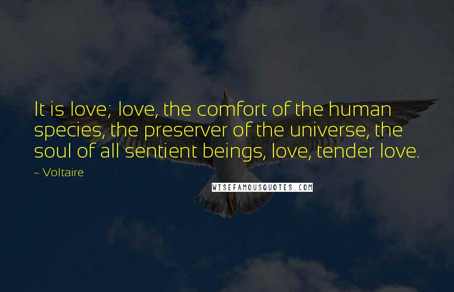 Voltaire Quotes: It is love; love, the comfort of the human species, the preserver of the universe, the soul of all sentient beings, love, tender love.