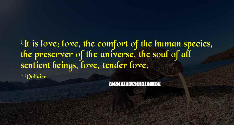 Voltaire Quotes: It is love; love, the comfort of the human species, the preserver of the universe, the soul of all sentient beings, love, tender love.