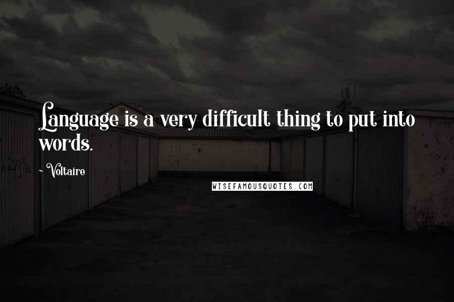 Voltaire Quotes: Language is a very difficult thing to put into words.