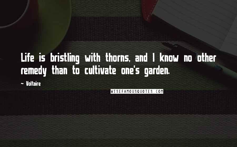 Voltaire Quotes: Life is bristling with thorns, and I know no other remedy than to cultivate one's garden.