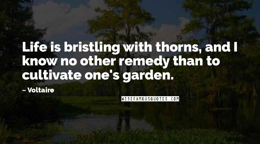 Voltaire Quotes: Life is bristling with thorns, and I know no other remedy than to cultivate one's garden.