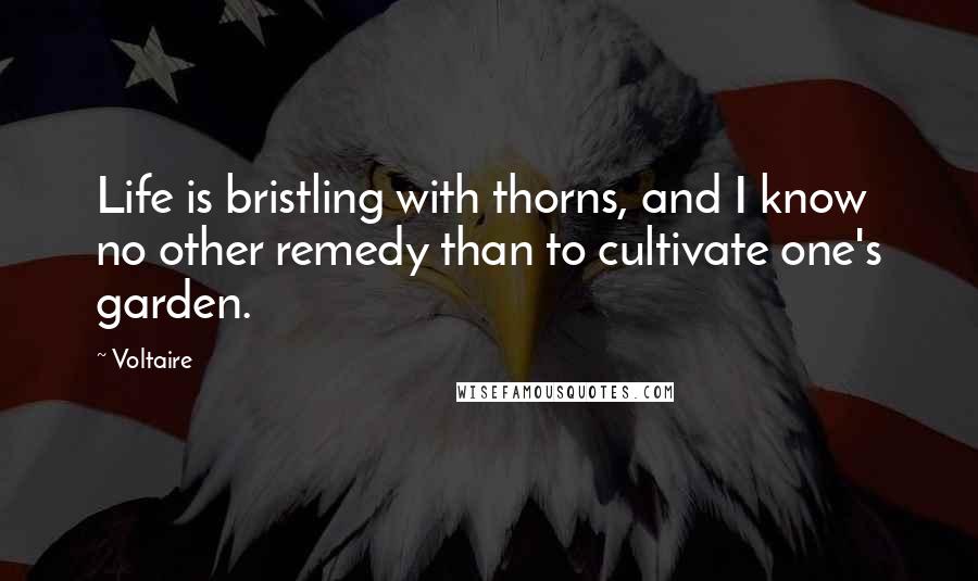 Voltaire Quotes: Life is bristling with thorns, and I know no other remedy than to cultivate one's garden.