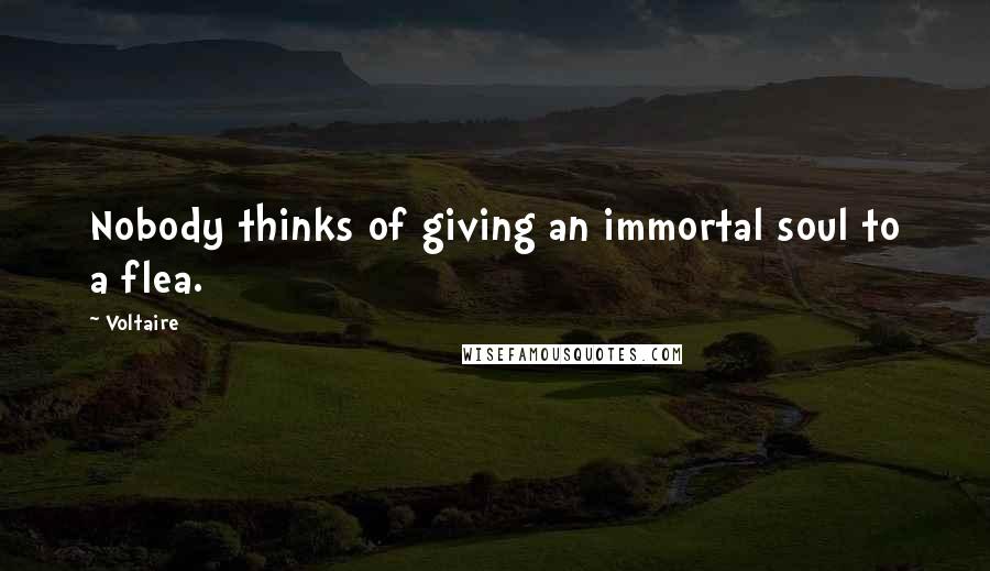 Voltaire Quotes: Nobody thinks of giving an immortal soul to a flea.