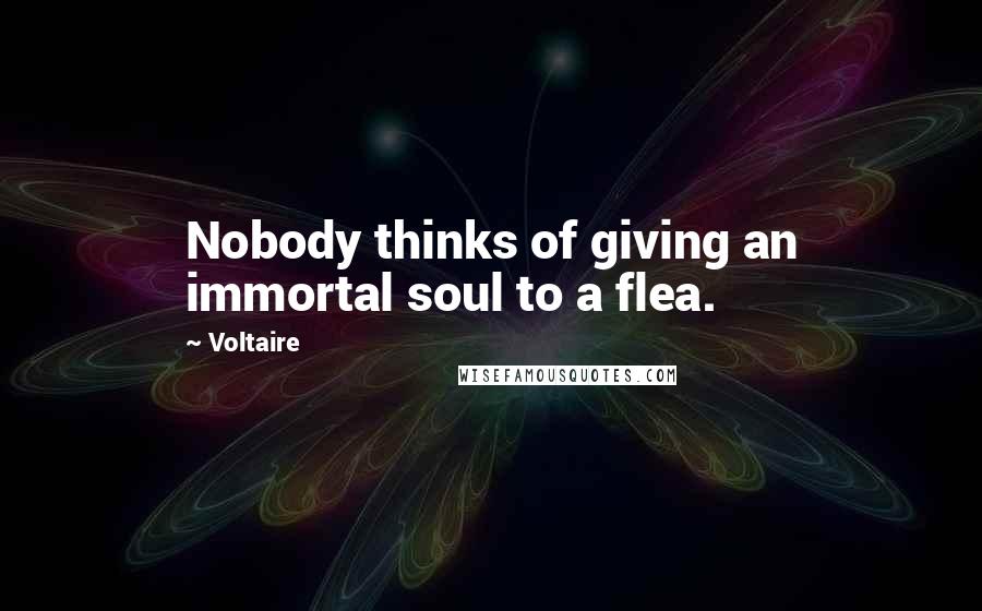 Voltaire Quotes: Nobody thinks of giving an immortal soul to a flea.