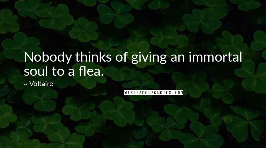 Voltaire Quotes: Nobody thinks of giving an immortal soul to a flea.