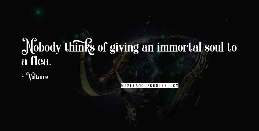 Voltaire Quotes: Nobody thinks of giving an immortal soul to a flea.