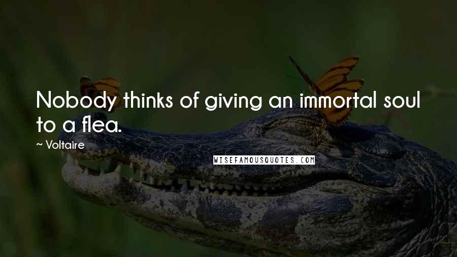 Voltaire Quotes: Nobody thinks of giving an immortal soul to a flea.