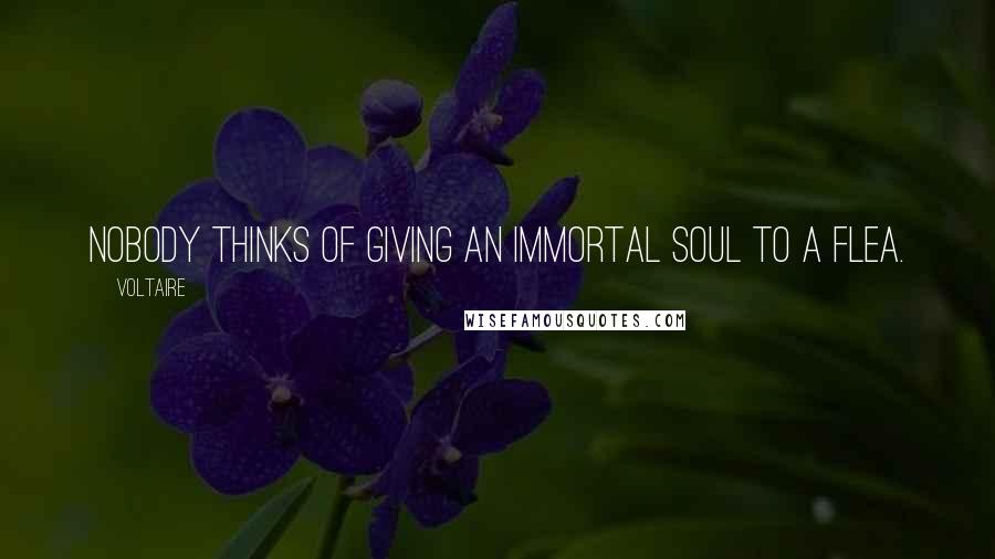 Voltaire Quotes: Nobody thinks of giving an immortal soul to a flea.