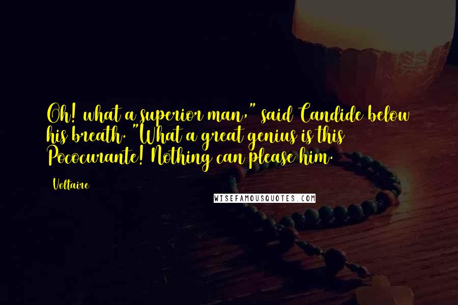 Voltaire Quotes: Oh! what a superior man," said Candide below his breath. "What a great genius is this Pococurante! Nothing can please him.