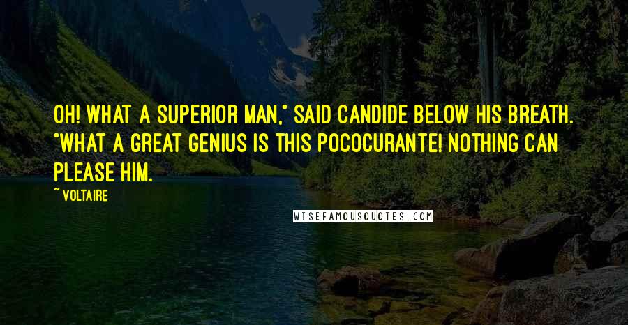 Voltaire Quotes: Oh! what a superior man," said Candide below his breath. "What a great genius is this Pococurante! Nothing can please him.