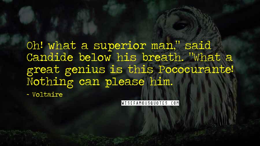 Voltaire Quotes: Oh! what a superior man," said Candide below his breath. "What a great genius is this Pococurante! Nothing can please him.