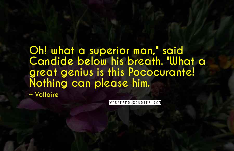 Voltaire Quotes: Oh! what a superior man," said Candide below his breath. "What a great genius is this Pococurante! Nothing can please him.