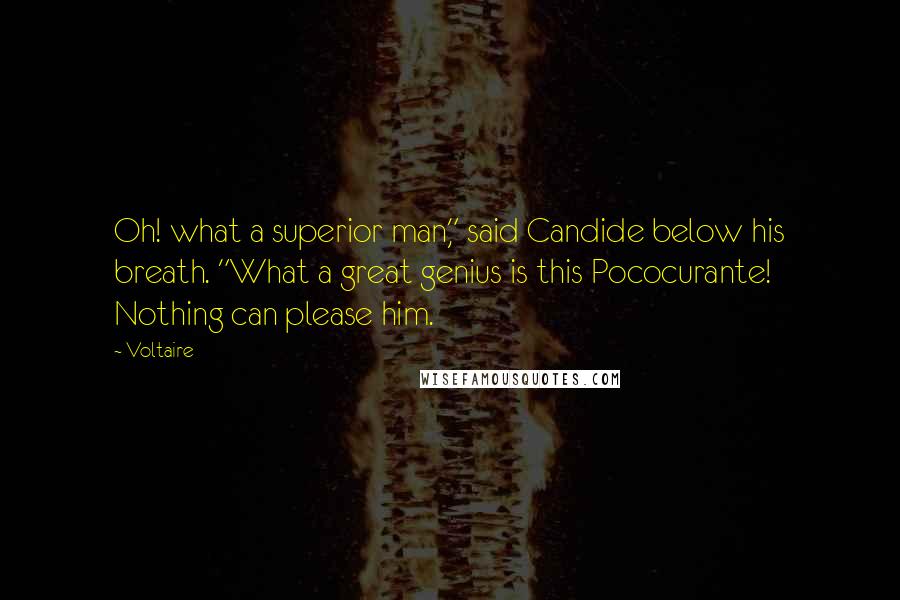Voltaire Quotes: Oh! what a superior man," said Candide below his breath. "What a great genius is this Pococurante! Nothing can please him.