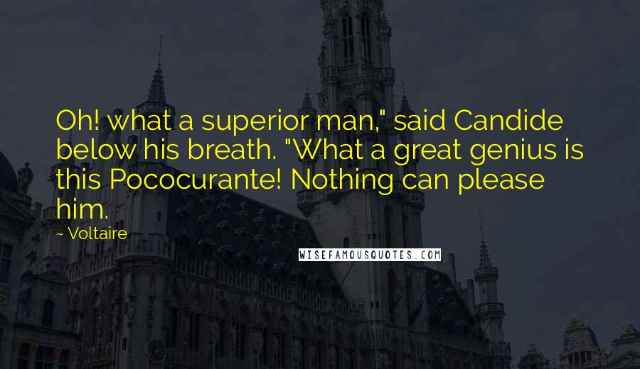 Voltaire Quotes: Oh! what a superior man," said Candide below his breath. "What a great genius is this Pococurante! Nothing can please him.