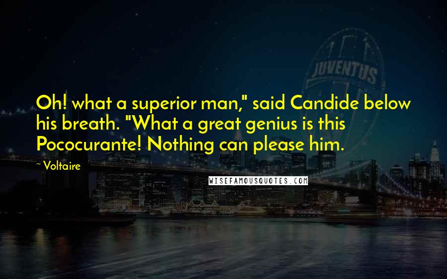 Voltaire Quotes: Oh! what a superior man," said Candide below his breath. "What a great genius is this Pococurante! Nothing can please him.