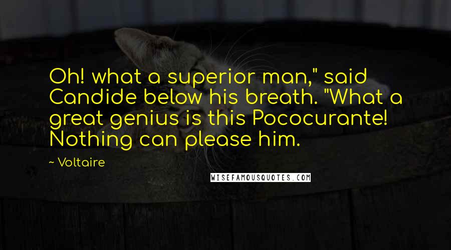 Voltaire Quotes: Oh! what a superior man," said Candide below his breath. "What a great genius is this Pococurante! Nothing can please him.