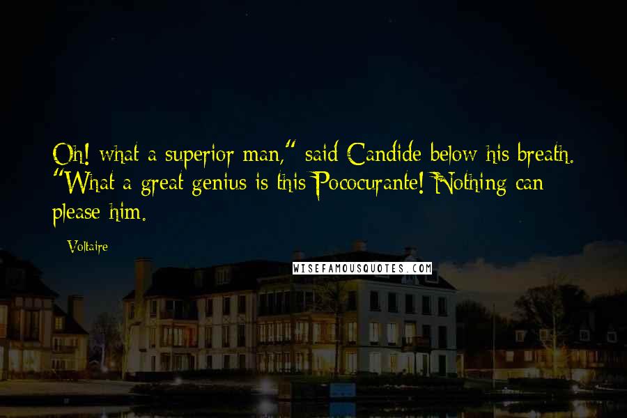 Voltaire Quotes: Oh! what a superior man," said Candide below his breath. "What a great genius is this Pococurante! Nothing can please him.