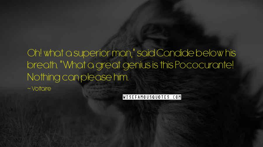 Voltaire Quotes: Oh! what a superior man," said Candide below his breath. "What a great genius is this Pococurante! Nothing can please him.
